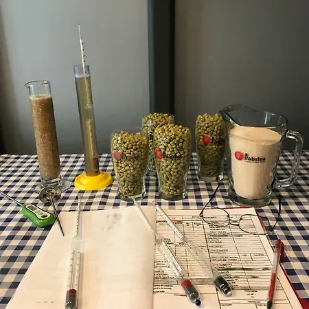 דירה The Brewmaster's House *