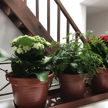 The Brewmaster's House Porto