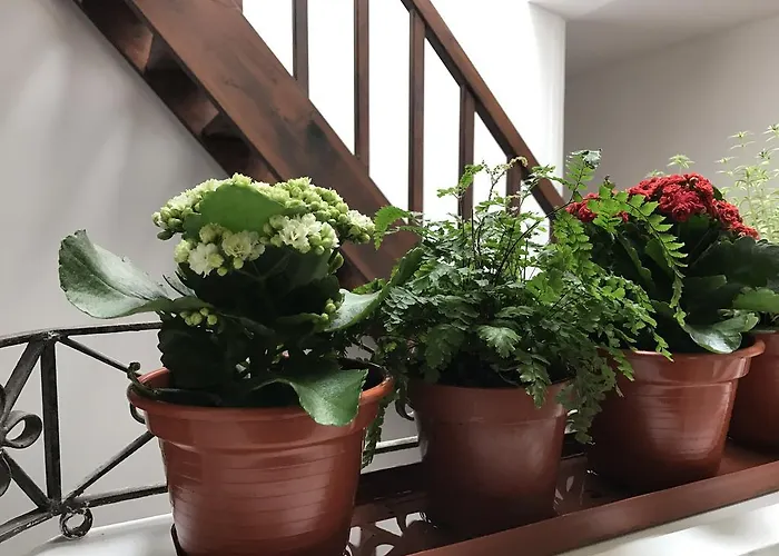 The Brewmaster's House Porto